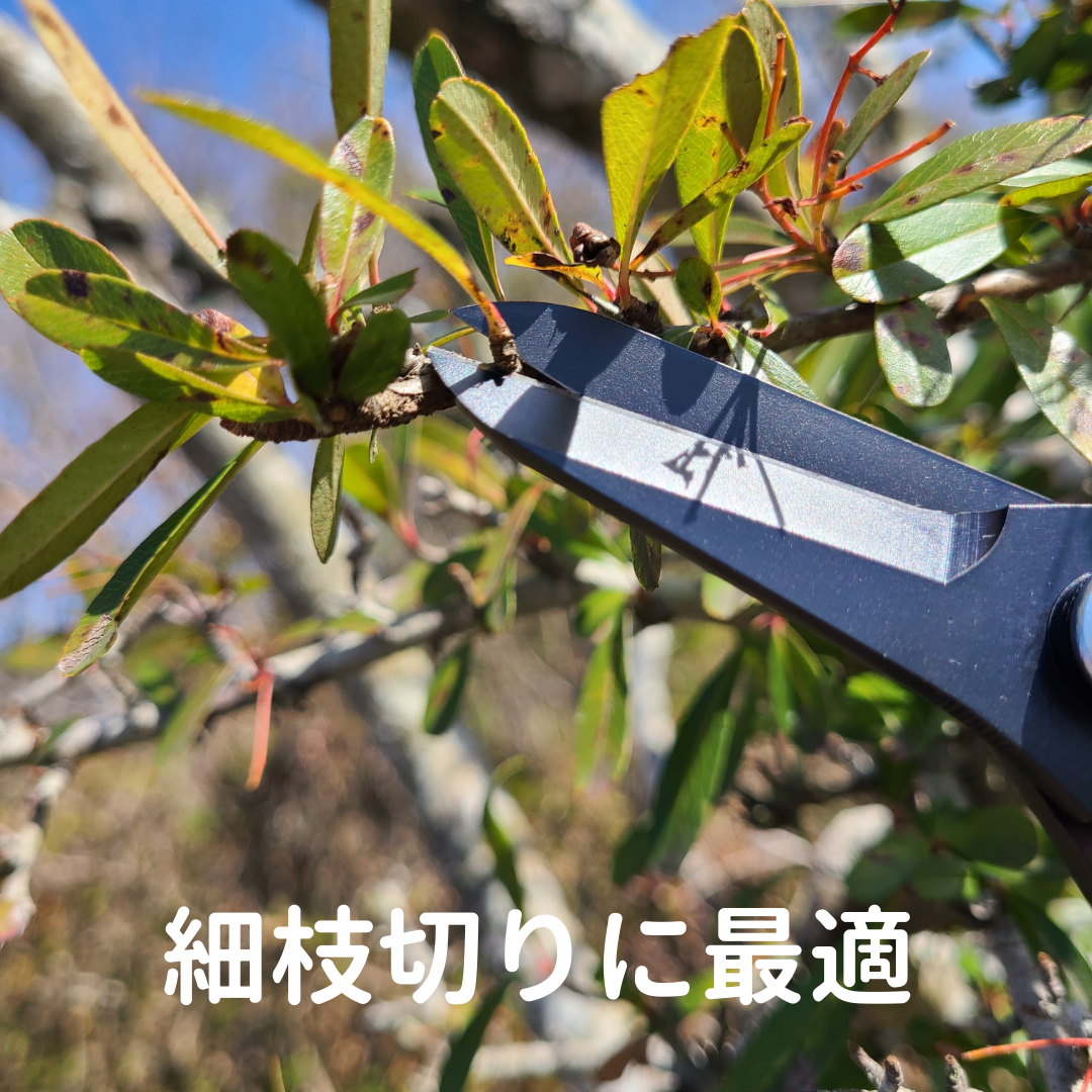 Saboten Slim Pruning Shears #1210