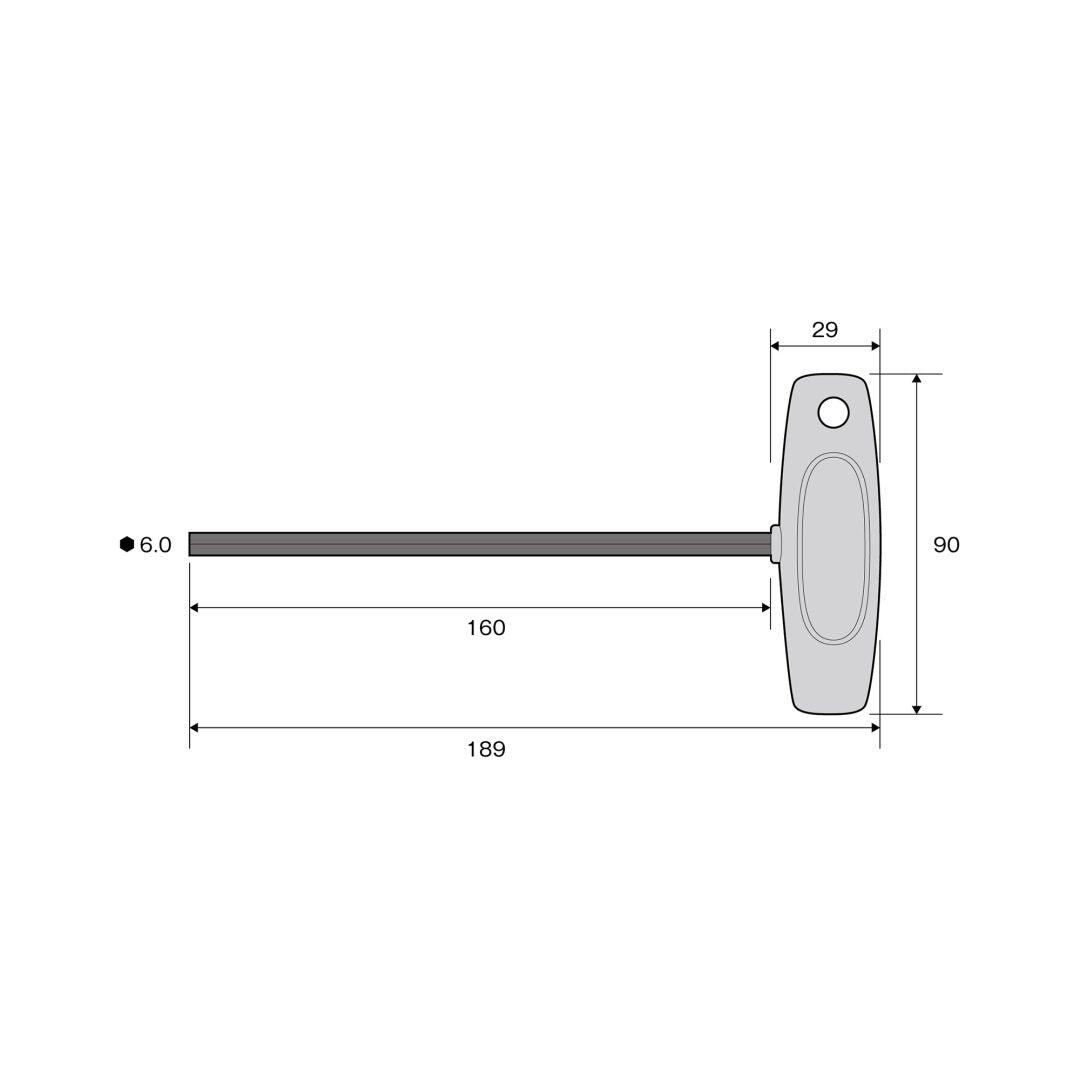 Anex T-Handle Hex Key Screwdriver H6x160 3200