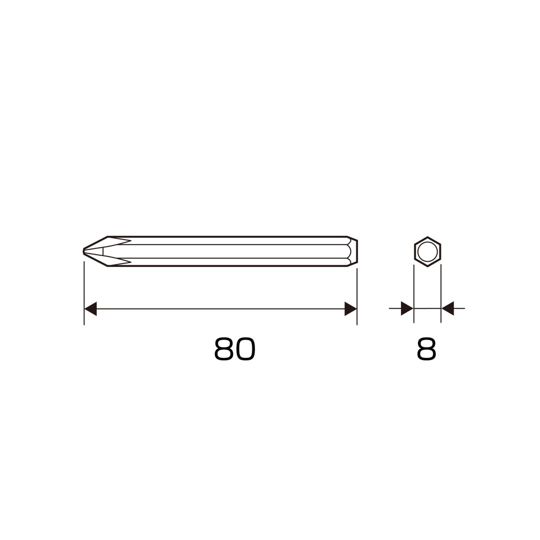 Anex Bit for Impact Screwdriver (for manual)+1x80 AK-21P