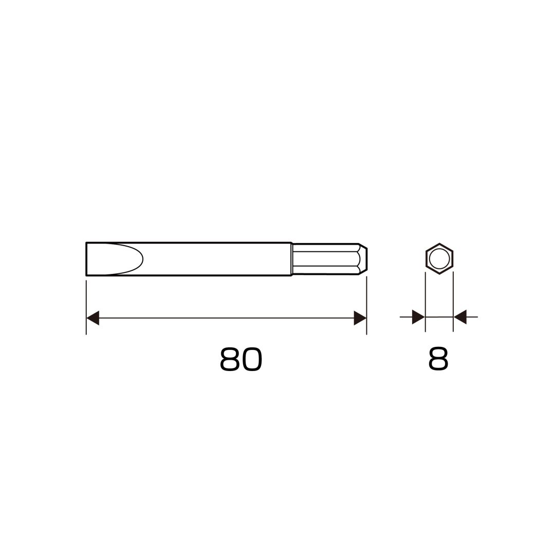 Anex Bit for Impact Screwdriver (for manual)-10x80 AK-21P