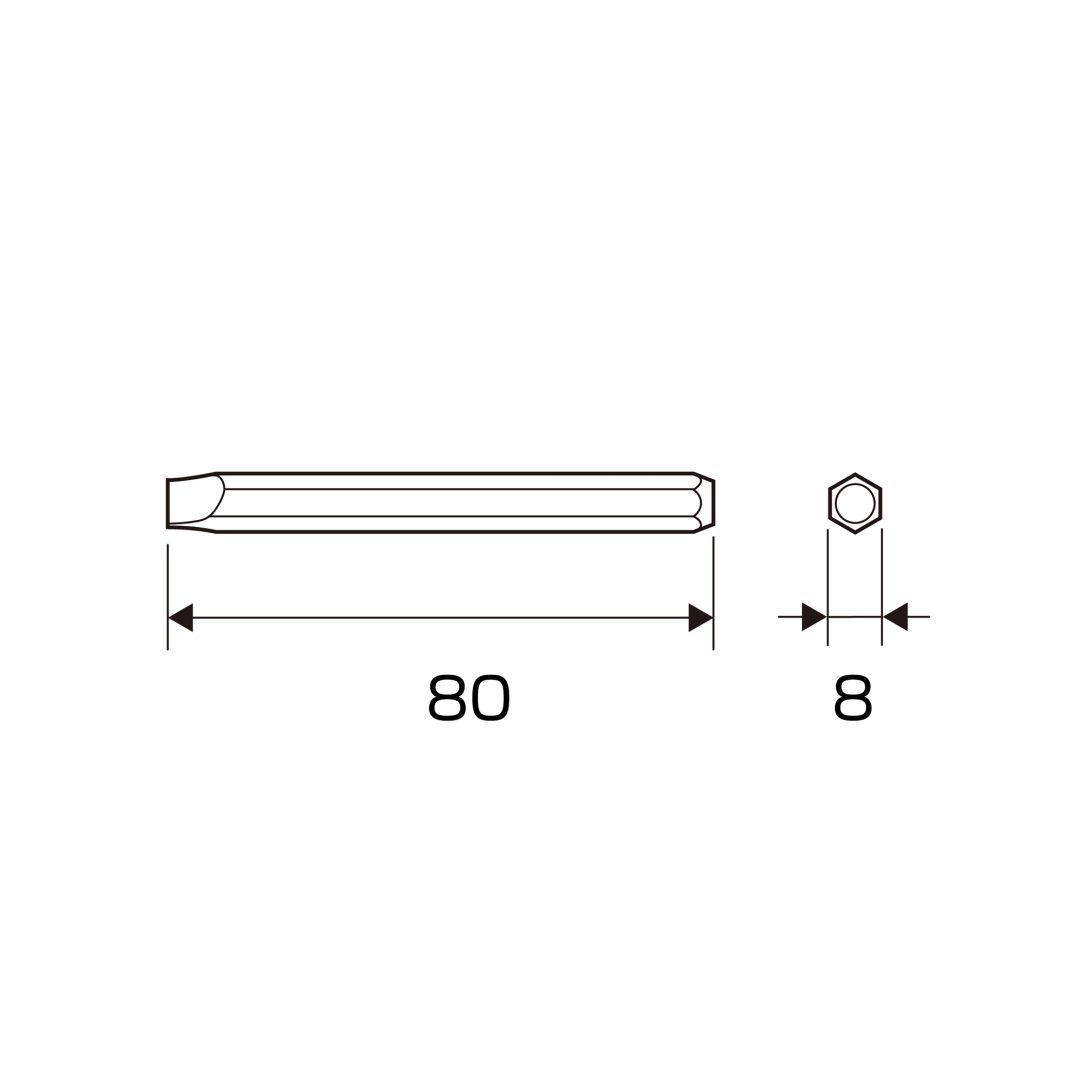 Anex Bit for Impact Screwdriver (for manual)-8x80 AK-21P