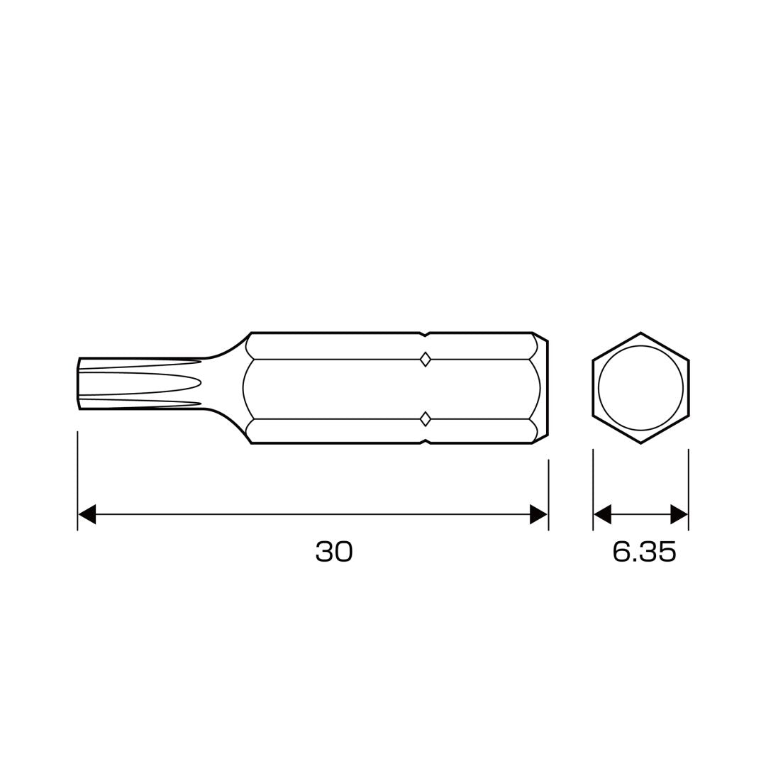 Anex Short Torx Bit T10x30(for manual screwdrivers) AK-50P