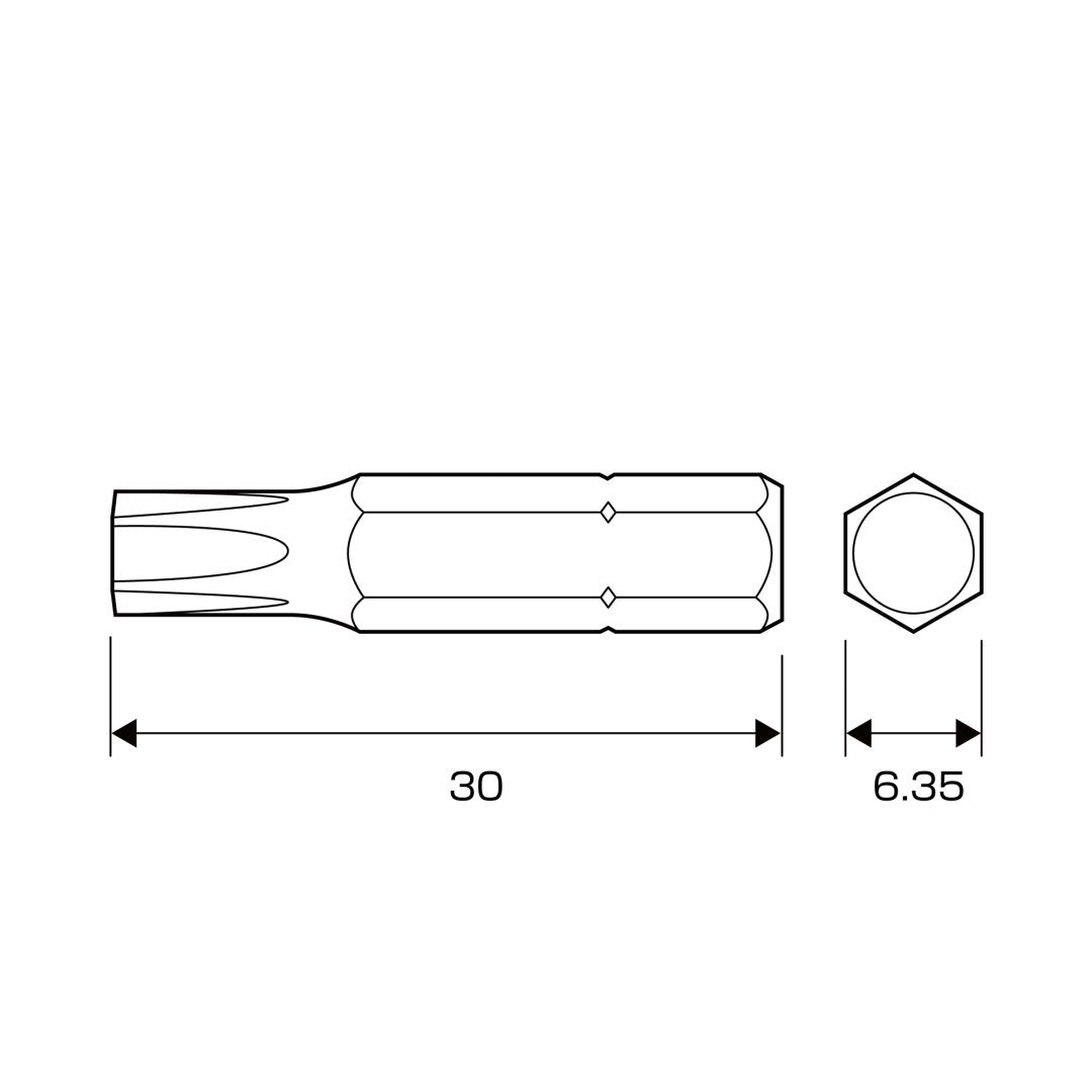 Anex Short Torx Bit T30x30(for manual screwdrivers) AK-50P