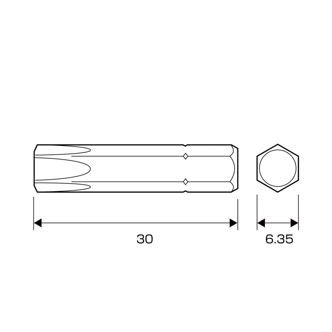 Anex Short Torx Bit T40x30(for manual screwdrivers) AK-50P