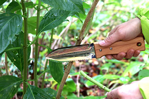 Nisaku Yamakodachi Garden Knife (Hori Hori) No.6200