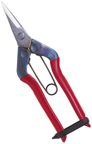 Chikamasa Stainless Steel Fruit Thinning Shears T-500S
