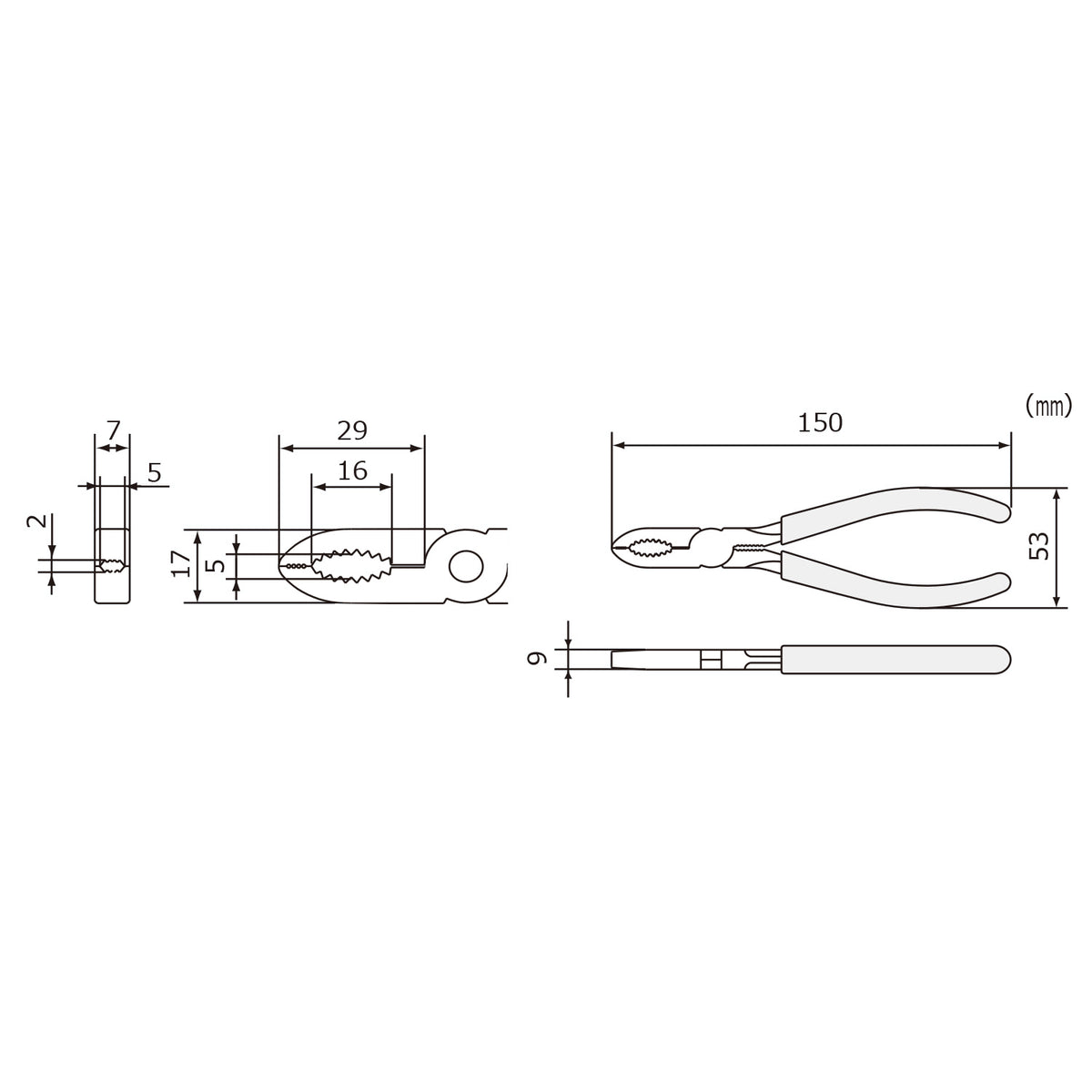 Engineer Nejisaurus Screw Removal Pliers 3 to 8 mm 150 mm PZ-55