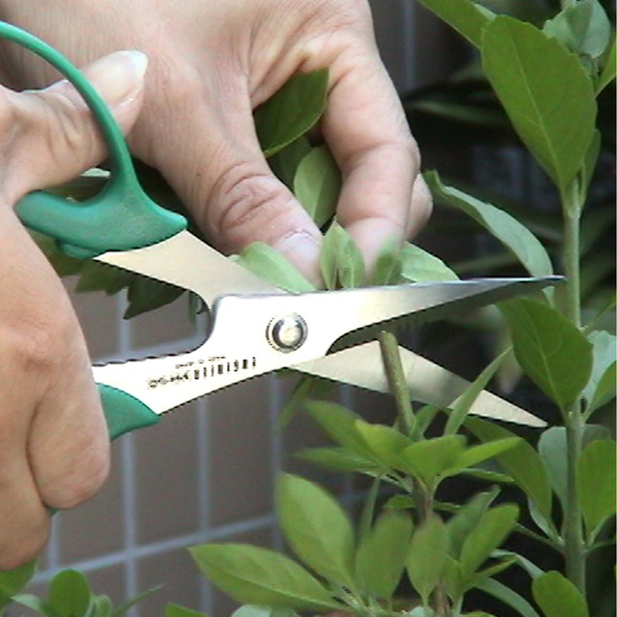 Engineer Tetsuwan Scissors Heavy Duty 55 mm Blade PH-50