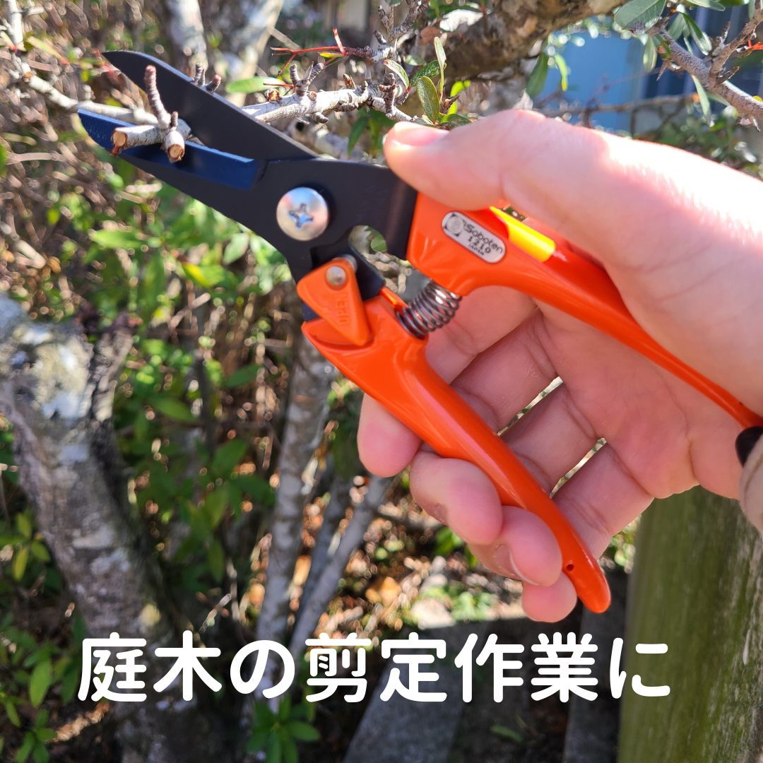 Saboten Slim Pruning Shears #1210