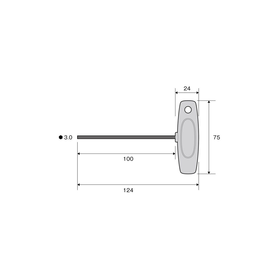 Anex T-Handle Hex Key Screwdriver H3x100 3200
