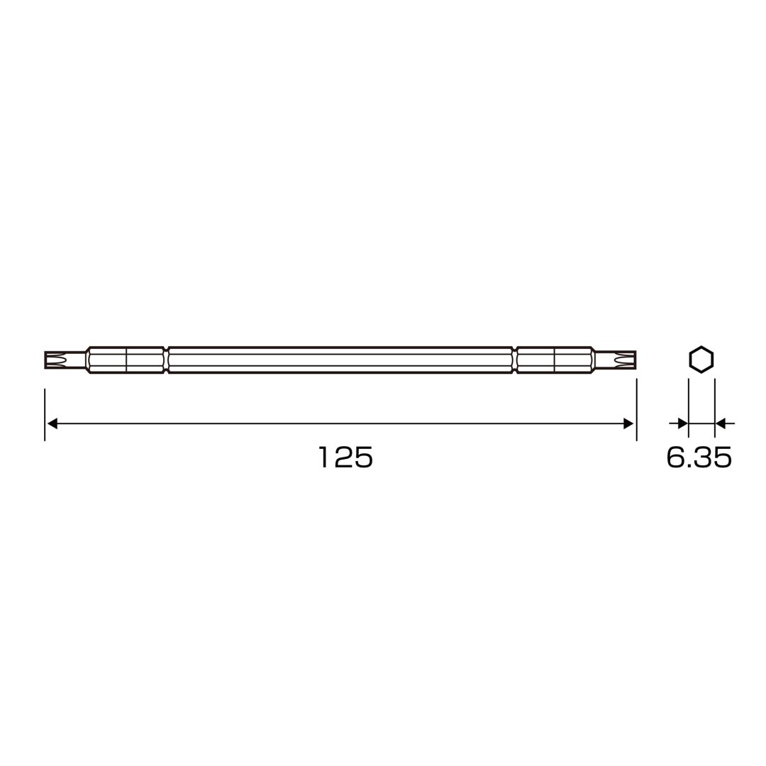 Anex Dedicated Bit for Super Action Grip ScrewdriverT20xT25x125 3350-T2025