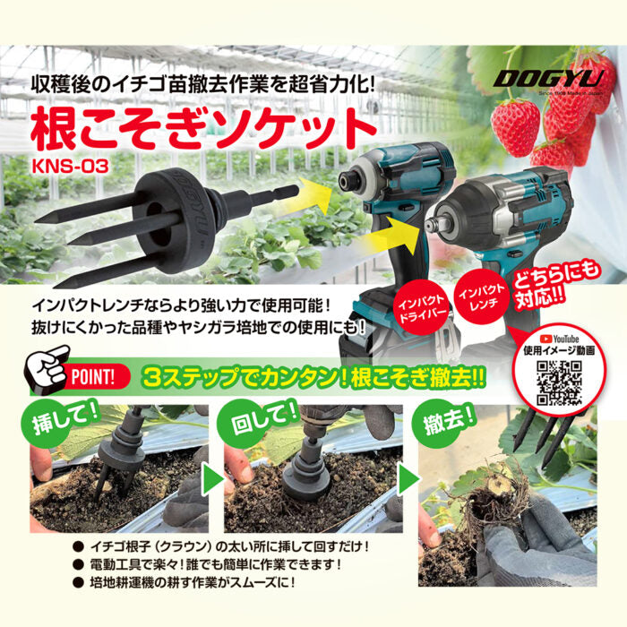 Dogyu Bit-Exchange Root Removal Socket KNS-03 #03862