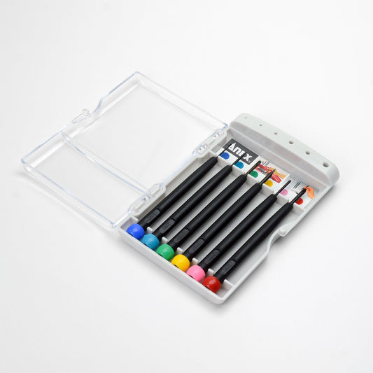 Anex Precision Screwdriver Set -/+ 6-piece 900