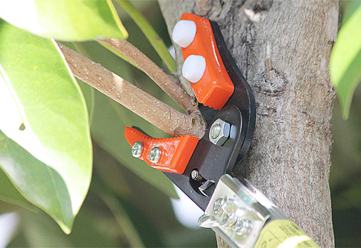 Nishigaki Nobinobi Edakiri Telescopic Pole Pruner 2.0m N-126