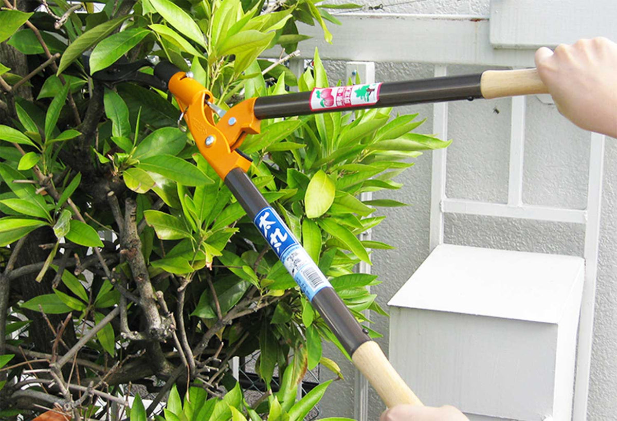 Nishigaki Futomaru Lopper 800mm N-152