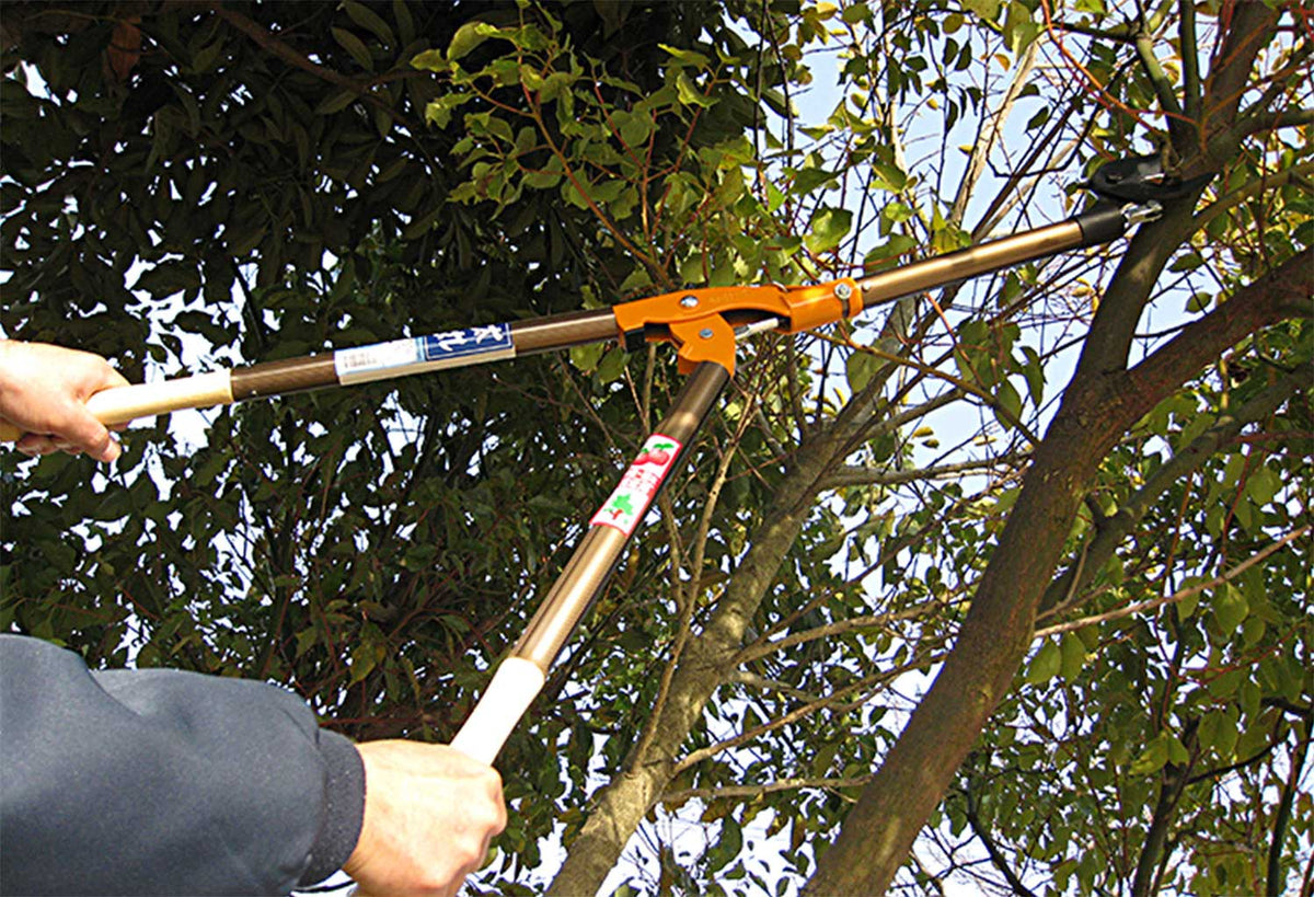 Nishigaki Futomaru Lopper 1000mm N-153
